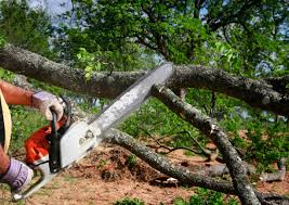 Best Aeration Services  in Cle Elum, WA