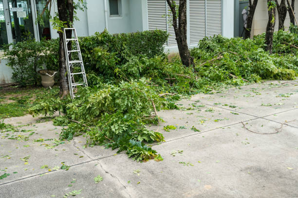 Best Seasonal Cleanup (Spring/Fall)  in Cle Elum, WA