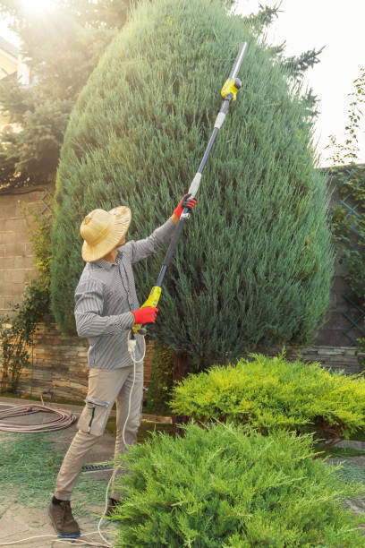 Best Lawn Maintenance Plans  in Cle Elum, WA