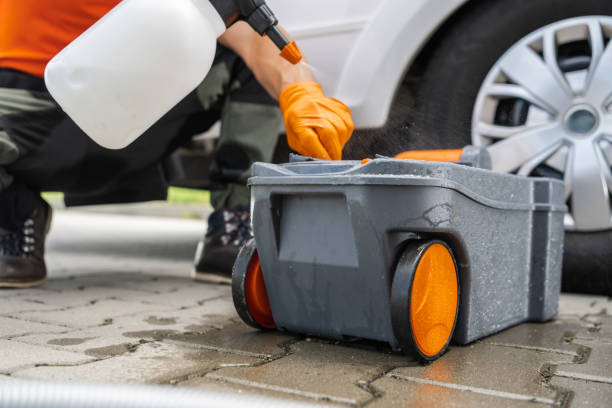Best Leaf Removal  in Cle Elum, WA