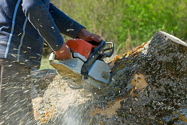 Best Utility Line Clearance  in Cle Elum, WA